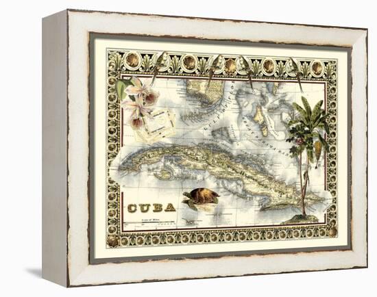 Tropical Map of Cuba-Vision Studio-Framed Stretched Canvas