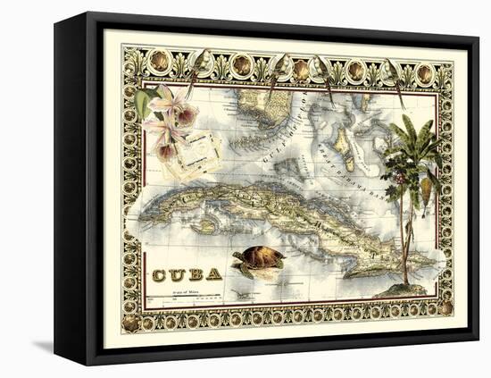 Tropical Map of Cuba-Vision Studio-Framed Stretched Canvas