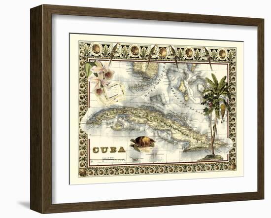 Tropical Map of Cuba-Vision Studio-Framed Art Print