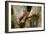 Tropical Milk Snake-null-Framed Premium Photographic Print