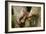 Tropical Milk Snake-null-Framed Premium Photographic Print