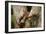 Tropical Milk Snake-null-Framed Photographic Print