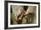 Tropical Milk Snake-null-Framed Photographic Print