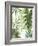 Tropical Mix I-PI Studio-Framed Art Print