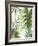 Tropical Mix I-PI Studio-Framed Art Print