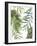 Tropical Mix II-PI Studio-Framed Art Print