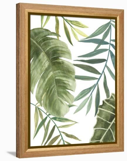 Tropical Mix II-PI Studio-Framed Stretched Canvas