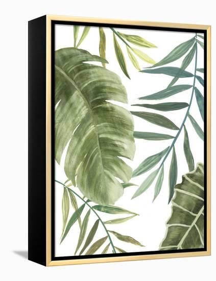 Tropical Mix II-PI Studio-Framed Stretched Canvas