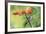 Tropical Mockingbird-Ken Archer-Framed Photographic Print