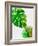 Tropical Monstera-Jasmine Woods-Framed Art Print