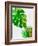 Tropical Monstera-Jasmine Woods-Framed Art Print