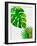 Tropical Monstera-Jasmine Woods-Framed Art Print