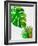 Tropical Monstera-Jasmine Woods-Framed Art Print