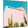 Tropical Mood - Cacti and Greens on Pink-Evgeniya Porechenskaya-Mounted Photographic Print