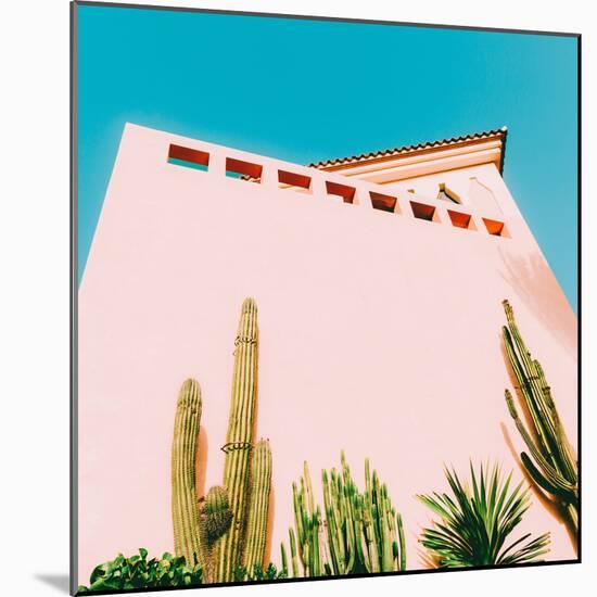 Tropical Mood - Cacti and Greens on Pink-Evgeniya Porechenskaya-Mounted Photographic Print