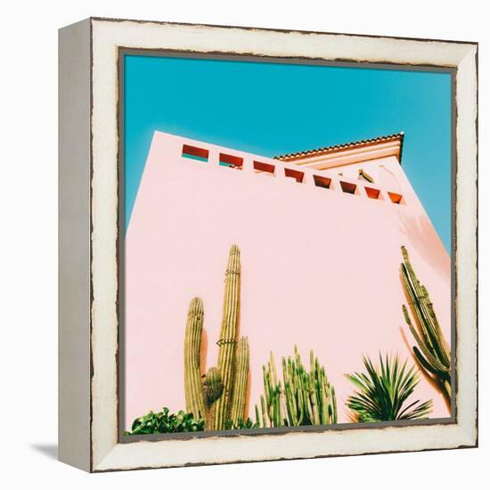 Tropical Mood - Cacti and Greens on Pink-Evgeniya Porechenskaya-Framed Stretched Canvas