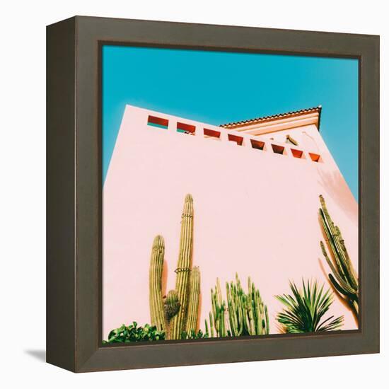 Tropical Mood - Cacti and Greens on Pink-Evgeniya Porechenskaya-Framed Stretched Canvas
