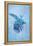 Tropical Night in Blue IV-Andrea Haase-Framed Stretched Canvas