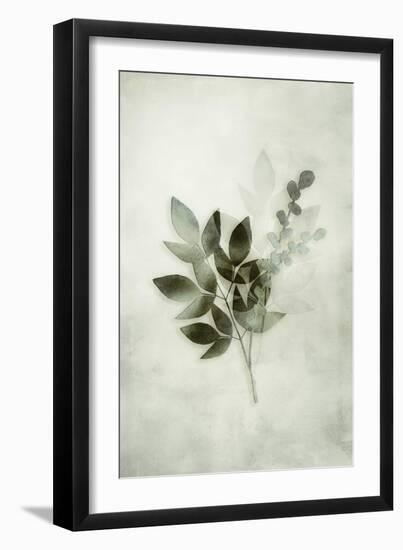 Tropical Night in Green I-Andrea Haase-Framed Art Print