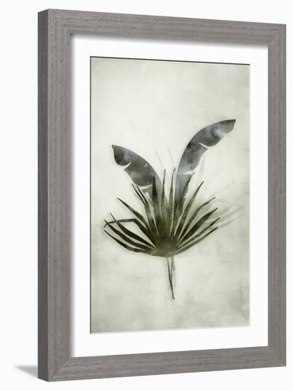 Tropical Night in Green II-Andrea Haase-Framed Art Print