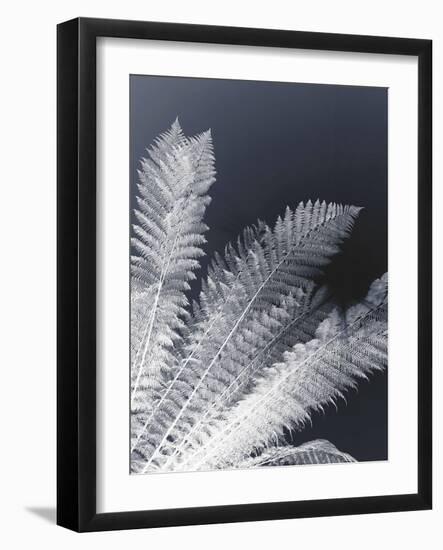 Tropical Palm Duo-Ella Lancaster-Framed Giclee Print