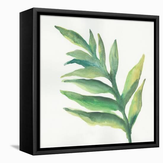 Tropical Palm I-Chris Paschke-Framed Stretched Canvas