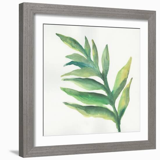 Tropical Palm I-Chris Paschke-Framed Art Print