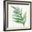 Tropical Palm I-Chris Paschke-Framed Art Print