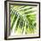 Tropical Palm I-Melonie Miller-Framed Art Print