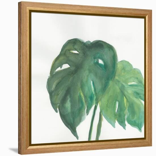 Tropical Palm II-Chris Paschke-Framed Stretched Canvas