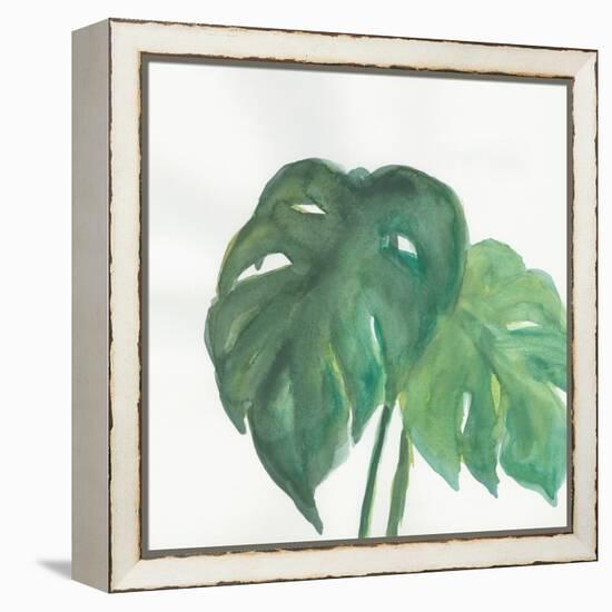 Tropical Palm II-Chris Paschke-Framed Stretched Canvas