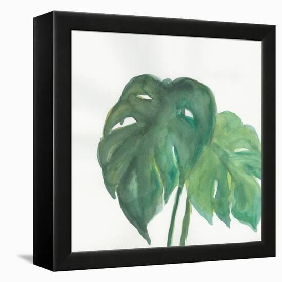 Tropical Palm II-Chris Paschke-Framed Stretched Canvas