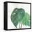 Tropical Palm II-Chris Paschke-Framed Stretched Canvas