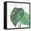 Tropical Palm II-Chris Paschke-Framed Stretched Canvas