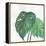 Tropical Palm II-Chris Paschke-Framed Stretched Canvas