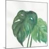 Tropical Palm II-Chris Paschke-Mounted Art Print