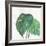 Tropical Palm II-Chris Paschke-Framed Art Print