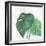 Tropical Palm II-Chris Paschke-Framed Art Print