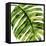 Tropical Palm II-Melonie Miller-Framed Stretched Canvas