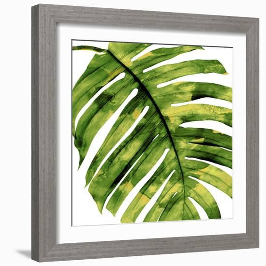 Tropical Palm II-Melonie Miller-Framed Art Print