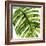 Tropical Palm II-Melonie Miller-Framed Art Print