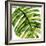 Tropical Palm II-Melonie Miller-Framed Art Print