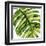 Tropical Palm II-Melonie Miller-Framed Art Print