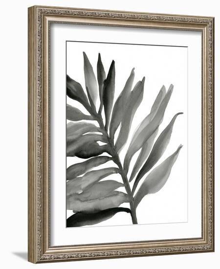 Tropical Palm III BW-Chris Paschke-Framed Art Print