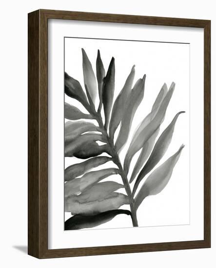 Tropical Palm III BW-Chris Paschke-Framed Art Print