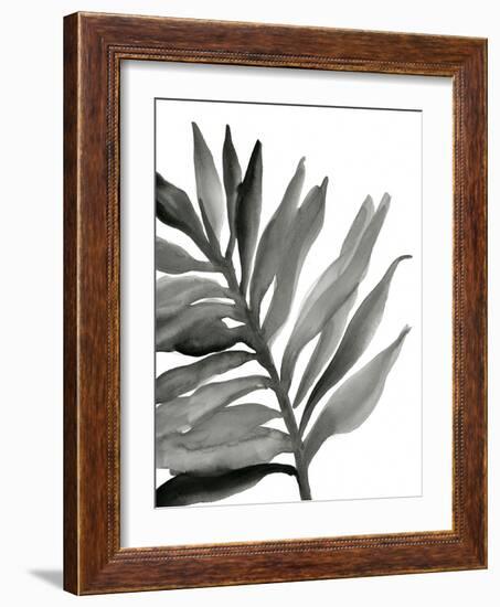 Tropical Palm III BW-Chris Paschke-Framed Art Print