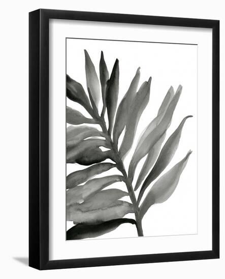 Tropical Palm III BW-Chris Paschke-Framed Art Print