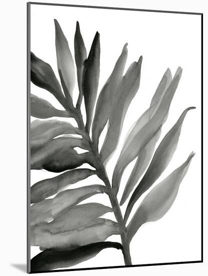 Tropical Palm III BW-Chris Paschke-Mounted Art Print