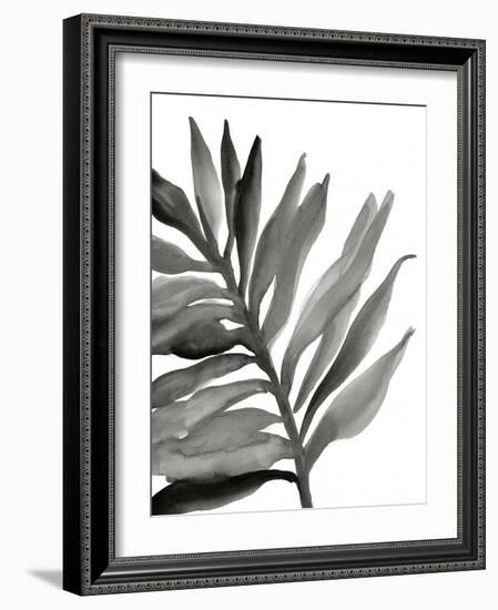 Tropical Palm III BW-Chris Paschke-Framed Art Print