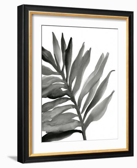 Tropical Palm III BW-Chris Paschke-Framed Art Print